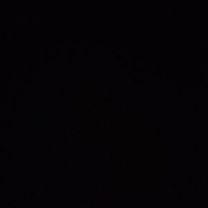 Meet your Posher, Jackson